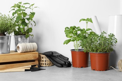Photo of Different aromatic potted herbs, gardening tools, gloves and spool of thread on floor near white wall