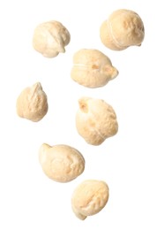 Image of Many chickpeas falling on white background. Vegan diet 