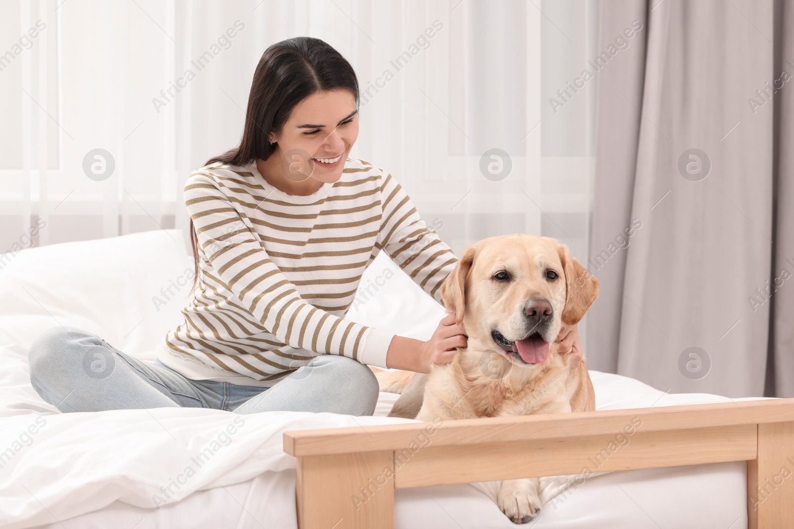 Photo of Happy woman with cute Labrador Retriever on bed at home