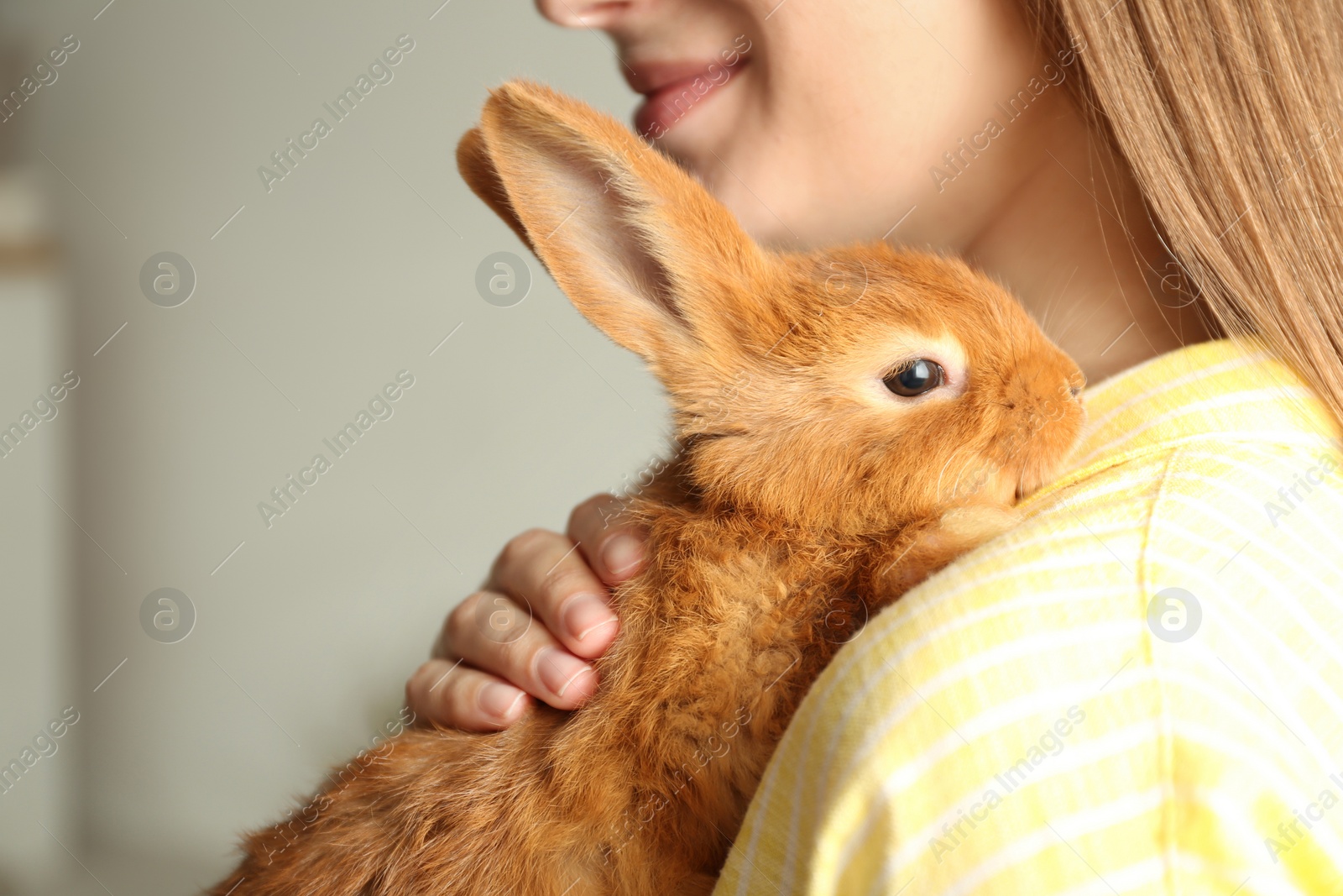 Photo of Young woman with adorable rabbit indoors, closeup. Lovely pet