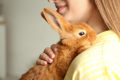 Young woman with adorable rabbit indoors, closeup. Lovely pet