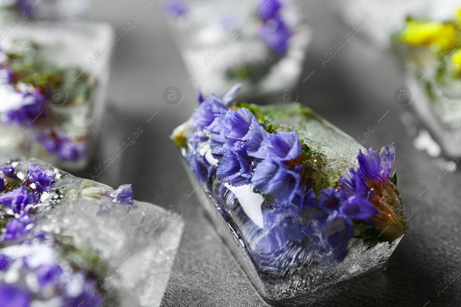 Photo of Ice cubes with flowers on grey stone table, closeup