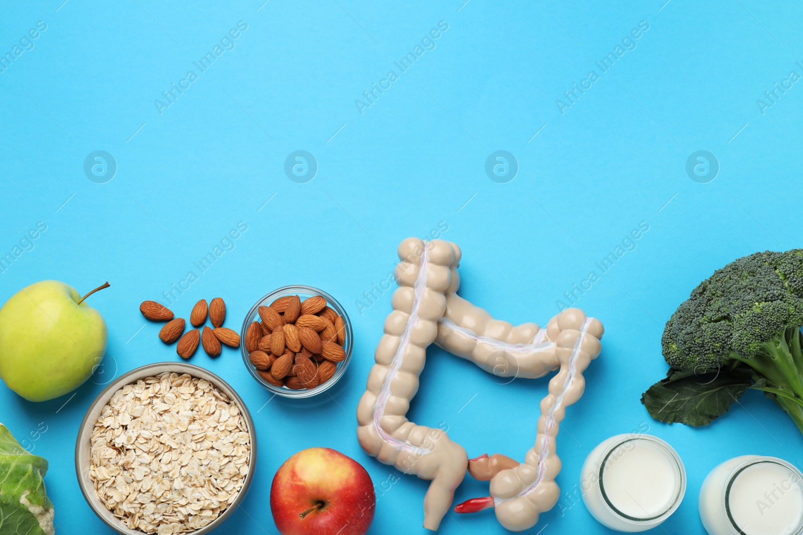 Photo of Layout of intestine model and products to help digestion on turquoise background, top view. Space for text