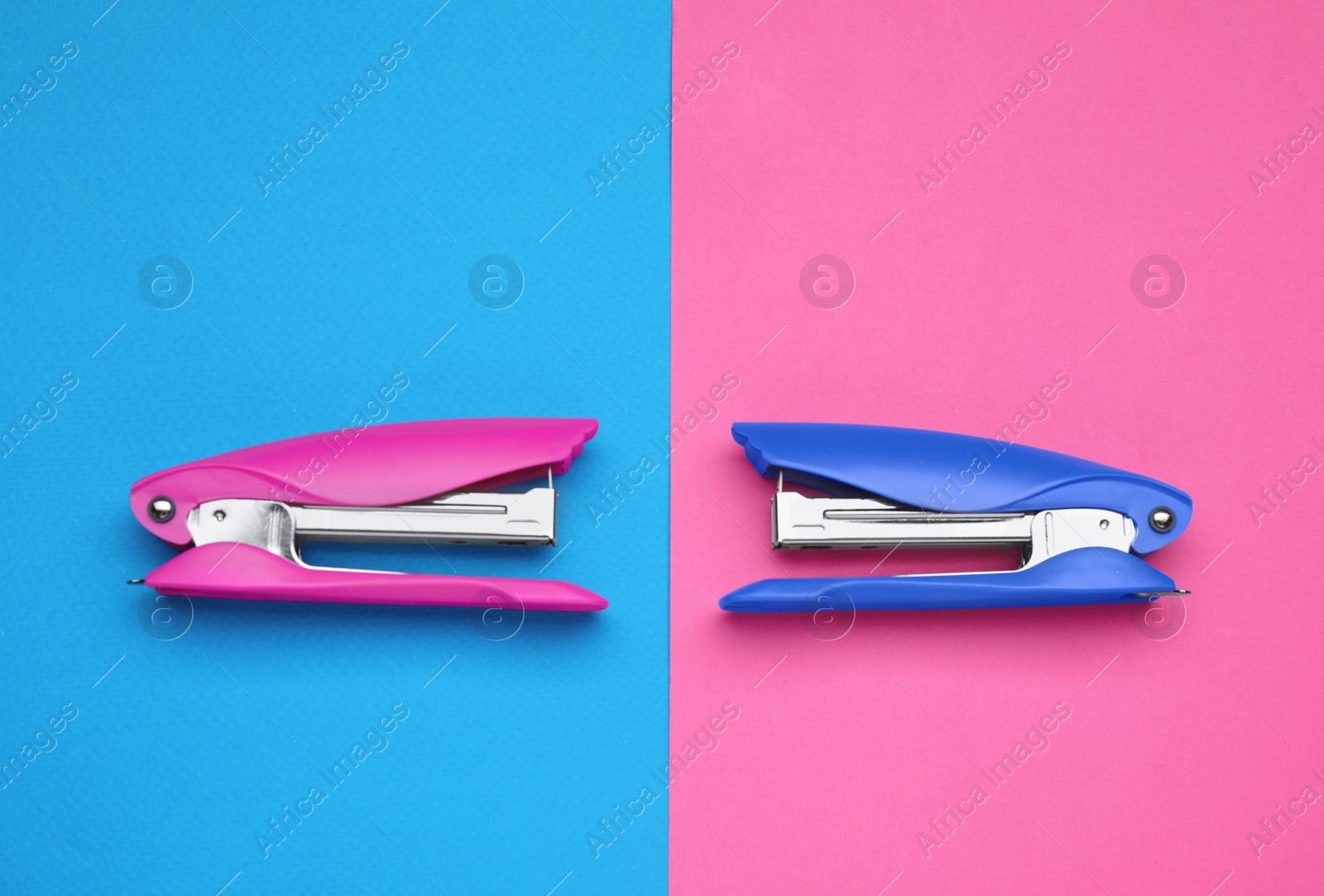 Photo of New bright staplers on color background, flat lay. School stationery