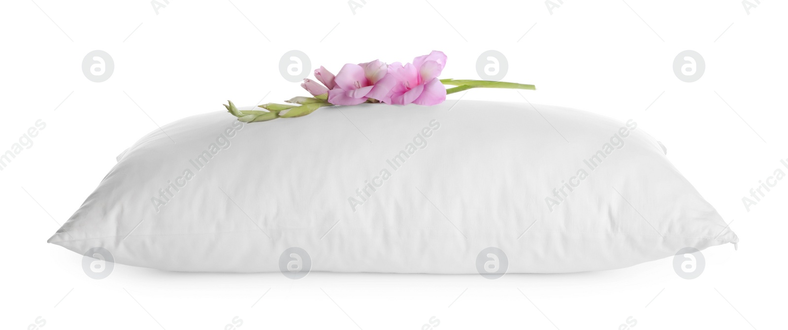 Photo of Soft pillow with beautiful flower on white background