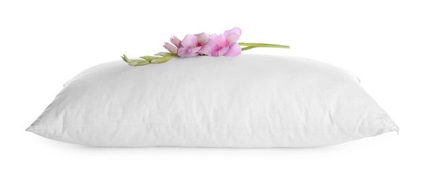 Soft pillow with beautiful flower on white background