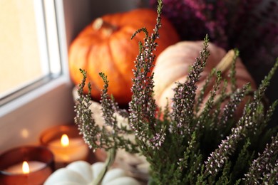 Beautiful heather flowers, wicker basket with pumpkins and candles near window indoors, closeup. Space for text