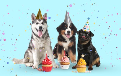 Cute dogs with party hats and delicious birthday cupcakes on light blue background