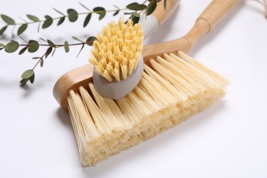 Photo of Cleaning brushes and eucalyptus leaves on white background