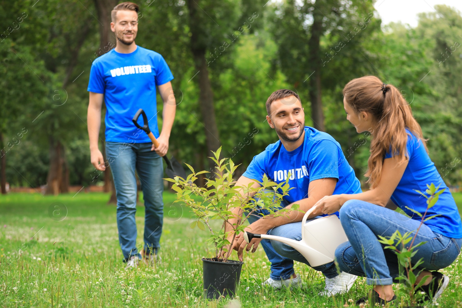 Photo of Young volunteers planting tree in green park. Charity work