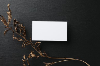Empty business card and dried plant on black background, flat lay. Mockup for design
