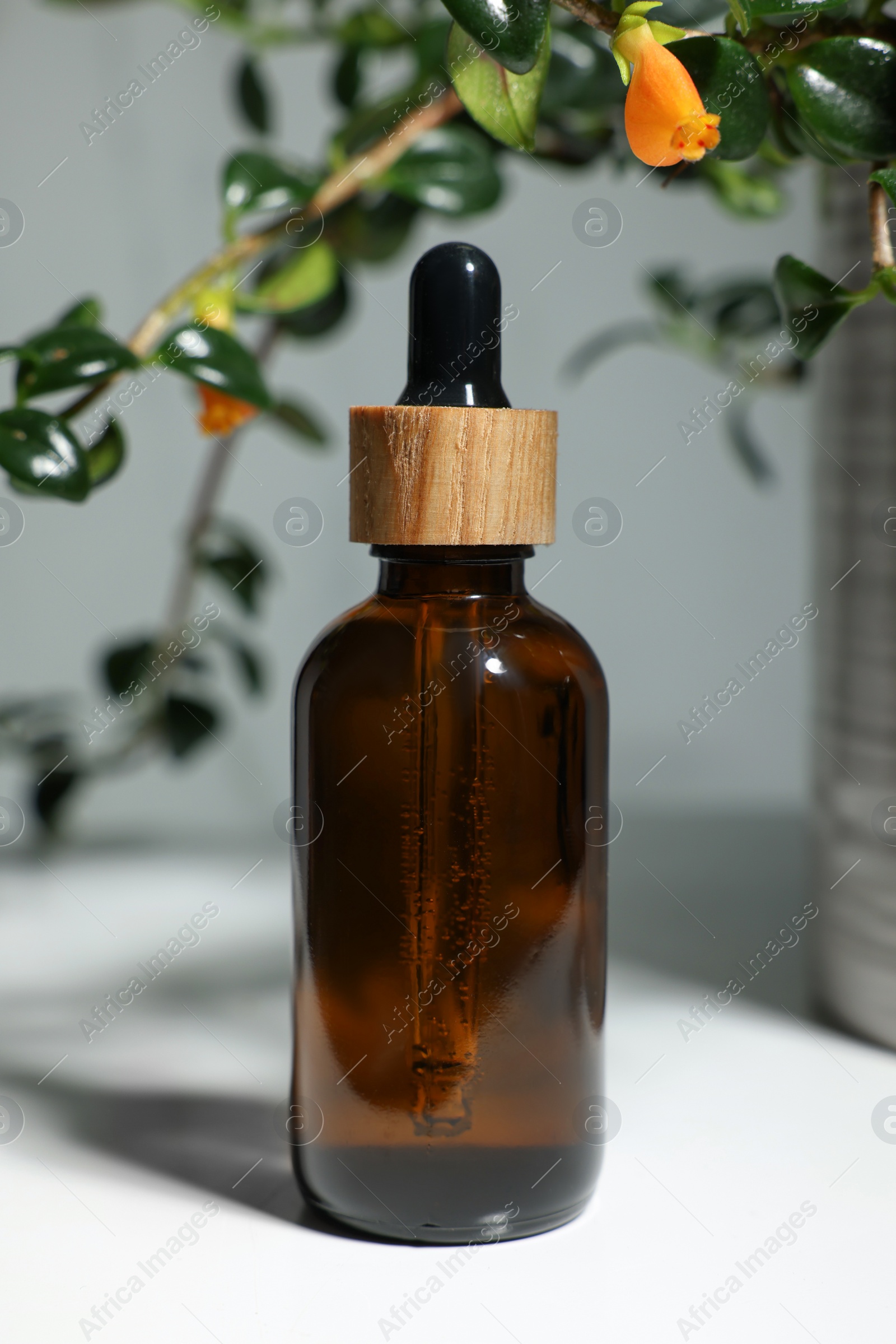 Photo of Glass bottle of essential oil on white table