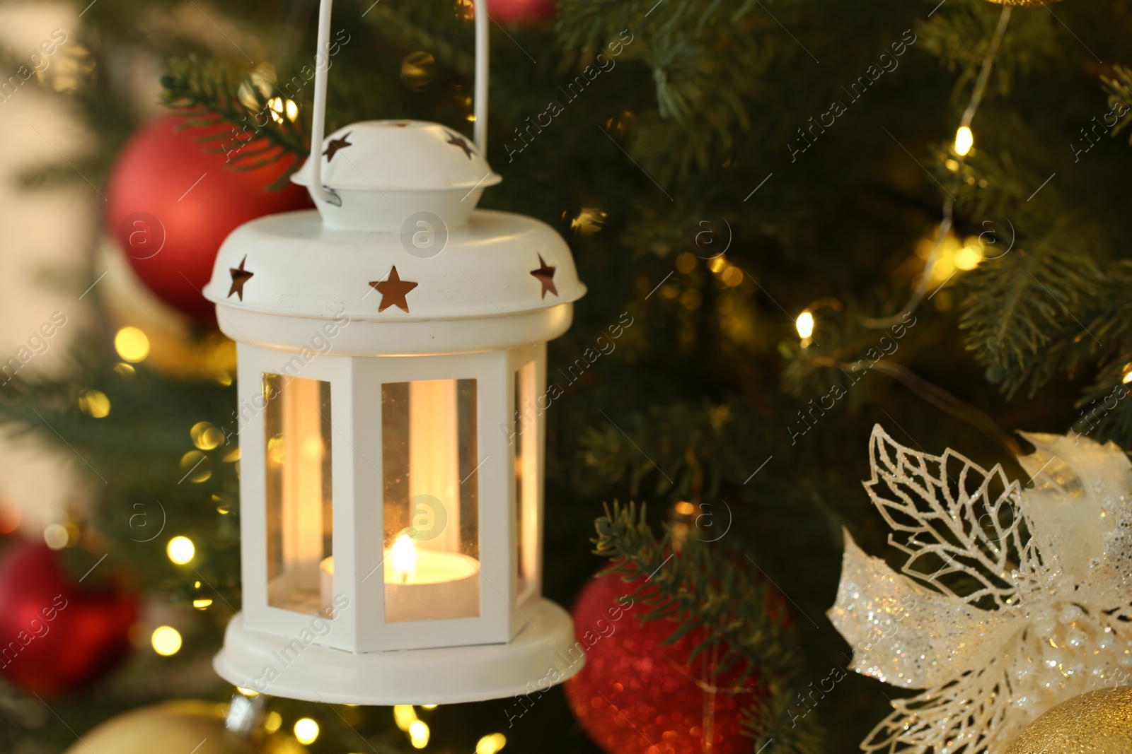 Photo of Christmas lantern with burning candle on fir tree as background, closeup