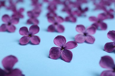 Photo of Beautiful lilac flowers on light blue background, closeup