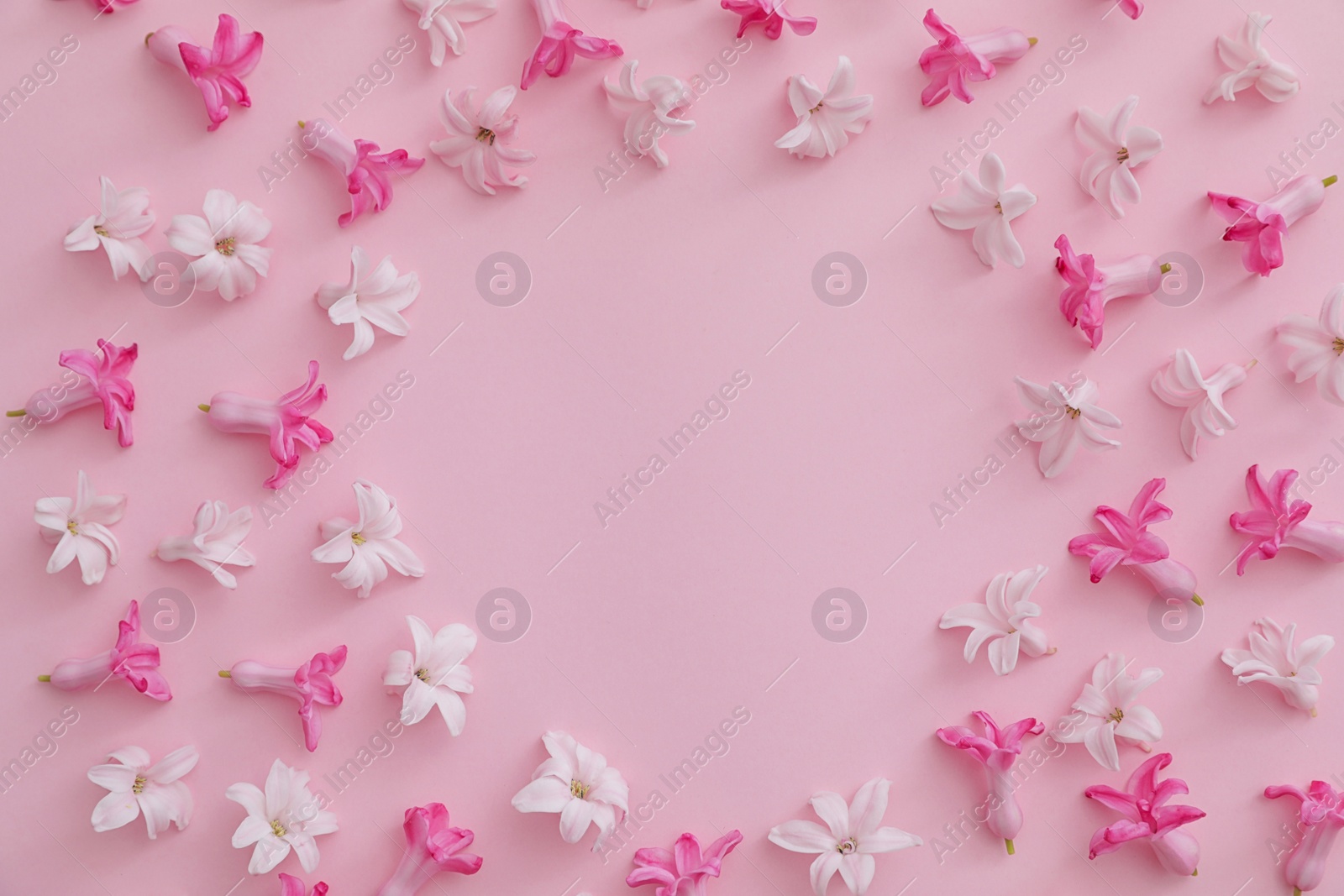 Photo of Frame made of spring hyacinth flowers on color background, top view. Space for text