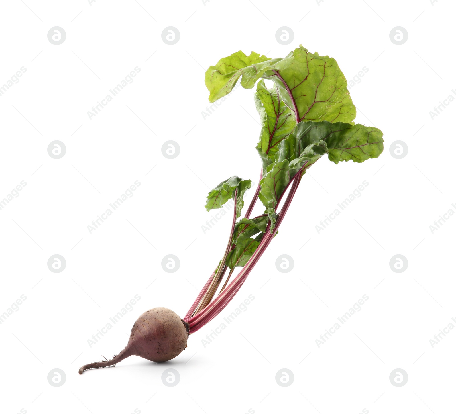 Photo of Fresh beet with leaves on white background