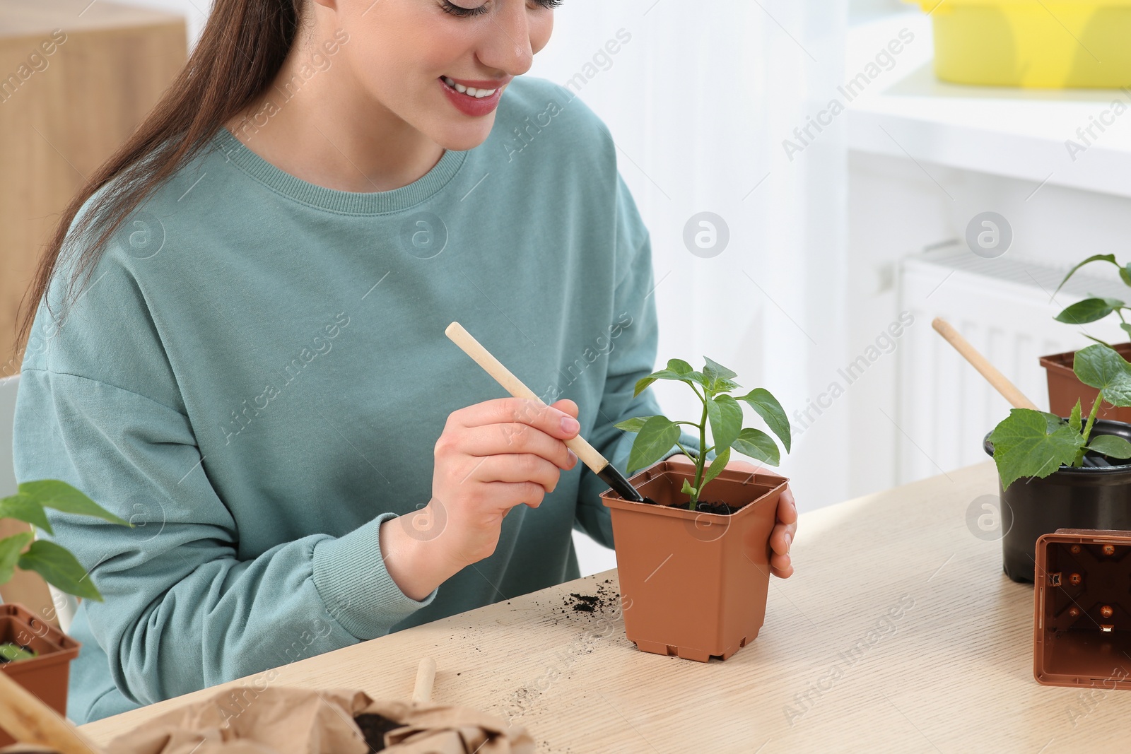 Photo of Woman planting seedling into pot at wooden table indoors, closeup