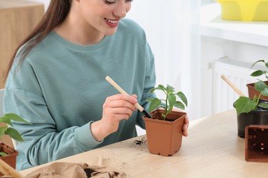 Photo of Woman planting seedling into pot at wooden table indoors, closeup