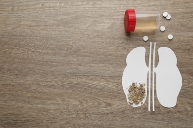 Paper cutout of kidneys with stones, urine test and pills on wooden table, flat lay. Space for text