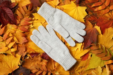 Stylish woolen gloves on dry leaves, top view