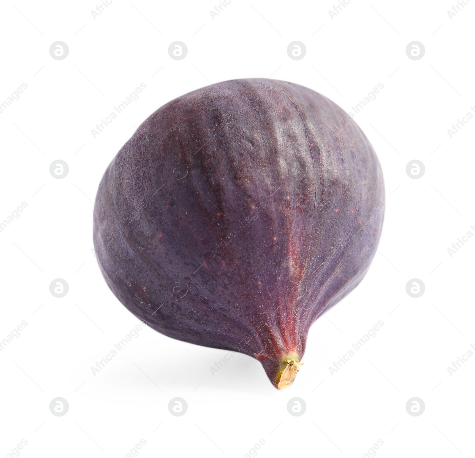 Photo of Whole ripe fresh fig isolated on white