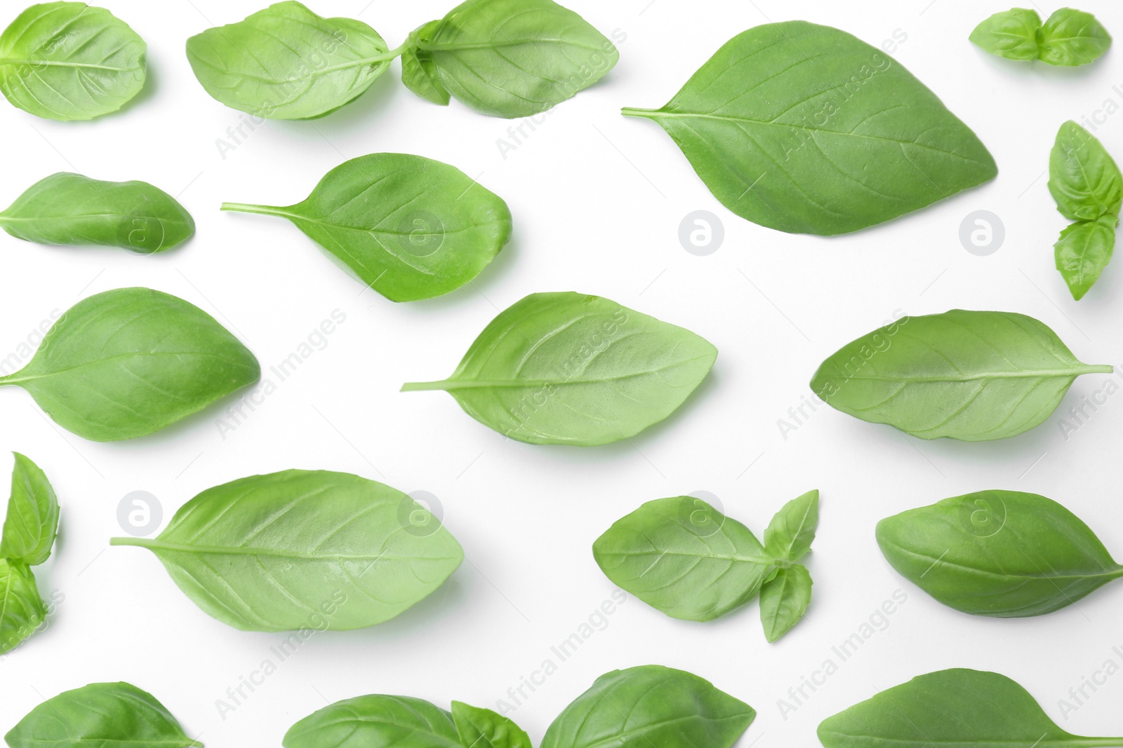 Photo of Fresh green basil leaves on white background, top view