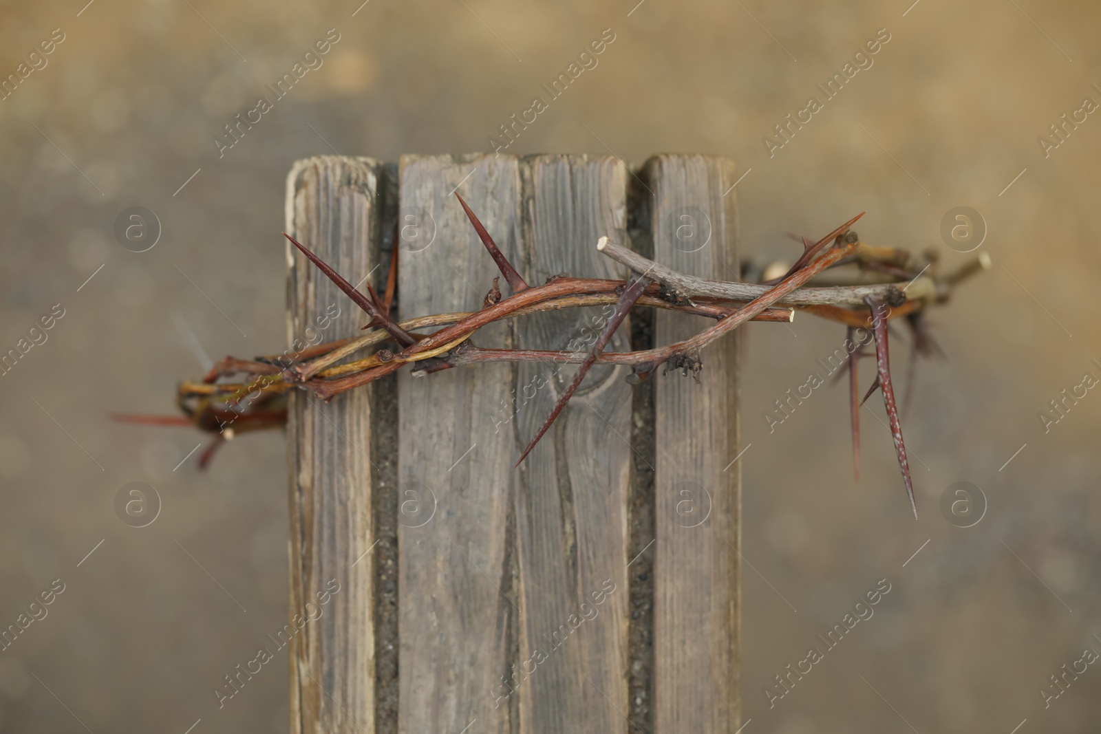 Photo of Crown of thorns on wooden plank against blurred background. Easter attribute