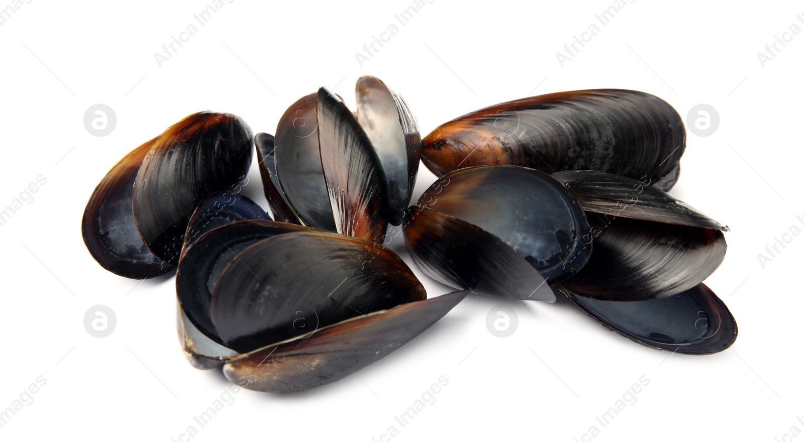 Photo of Open empty mussel shells on white background