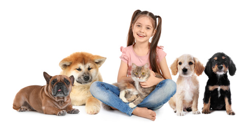 Cute little girl with her pets on white background. Banner design