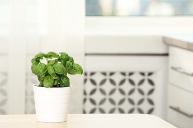 Photo of Fresh basil in pot on table indoors. Space for text