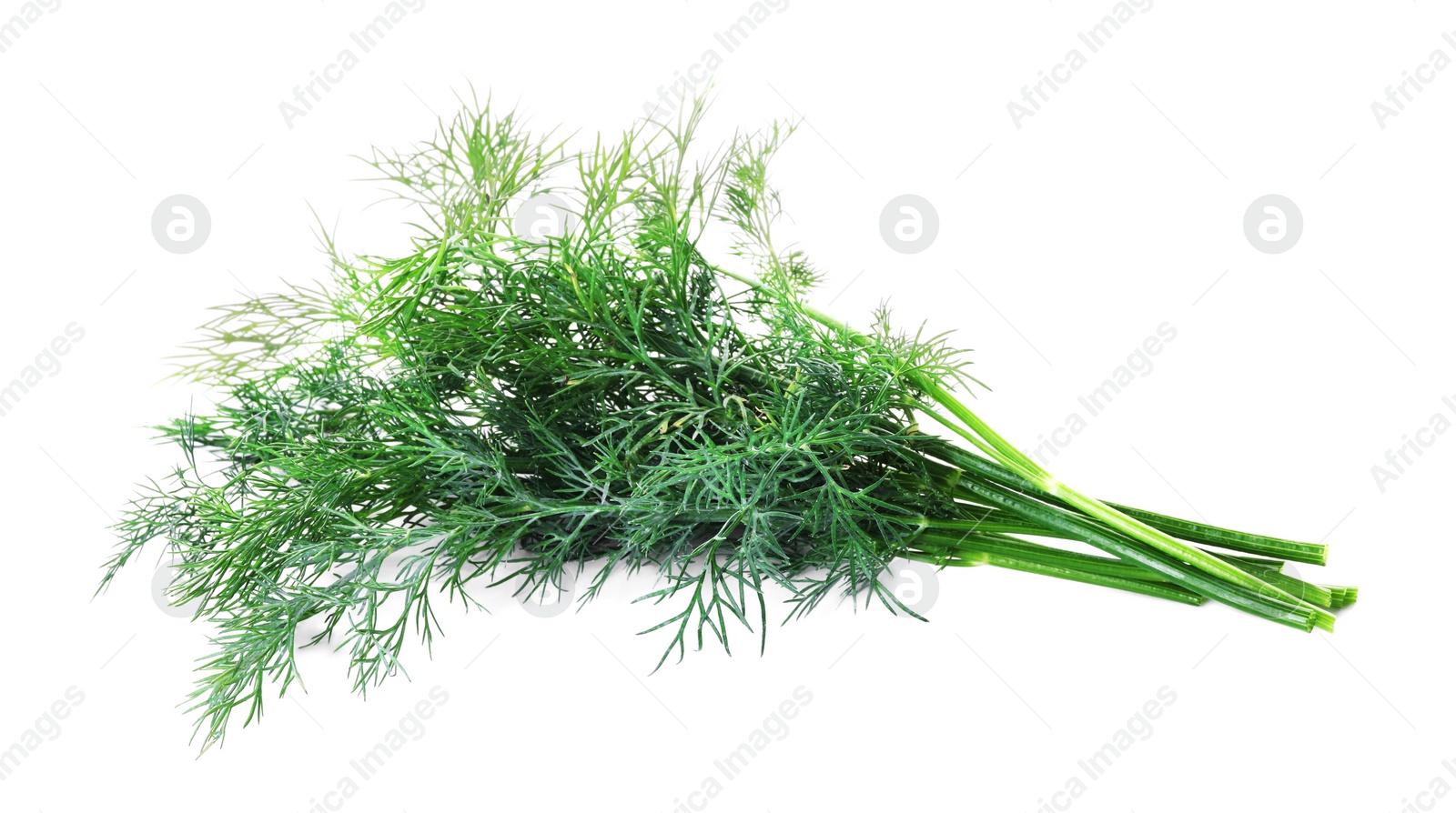 Photo of Sprigs of fresh dill isolated on white