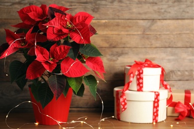 Photo of Poinsettia (traditional Christmas flower), string lights and gift boxes on wooden table