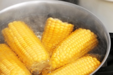 Photo of Stewpot with boiling water and corn cobs, closeup