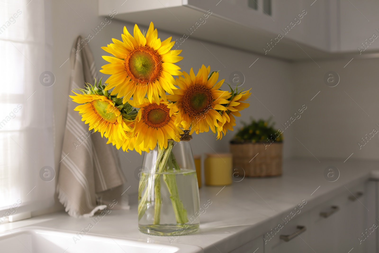 Photo of Vase with beautiful yellow sunflowers in kitchen, space for text