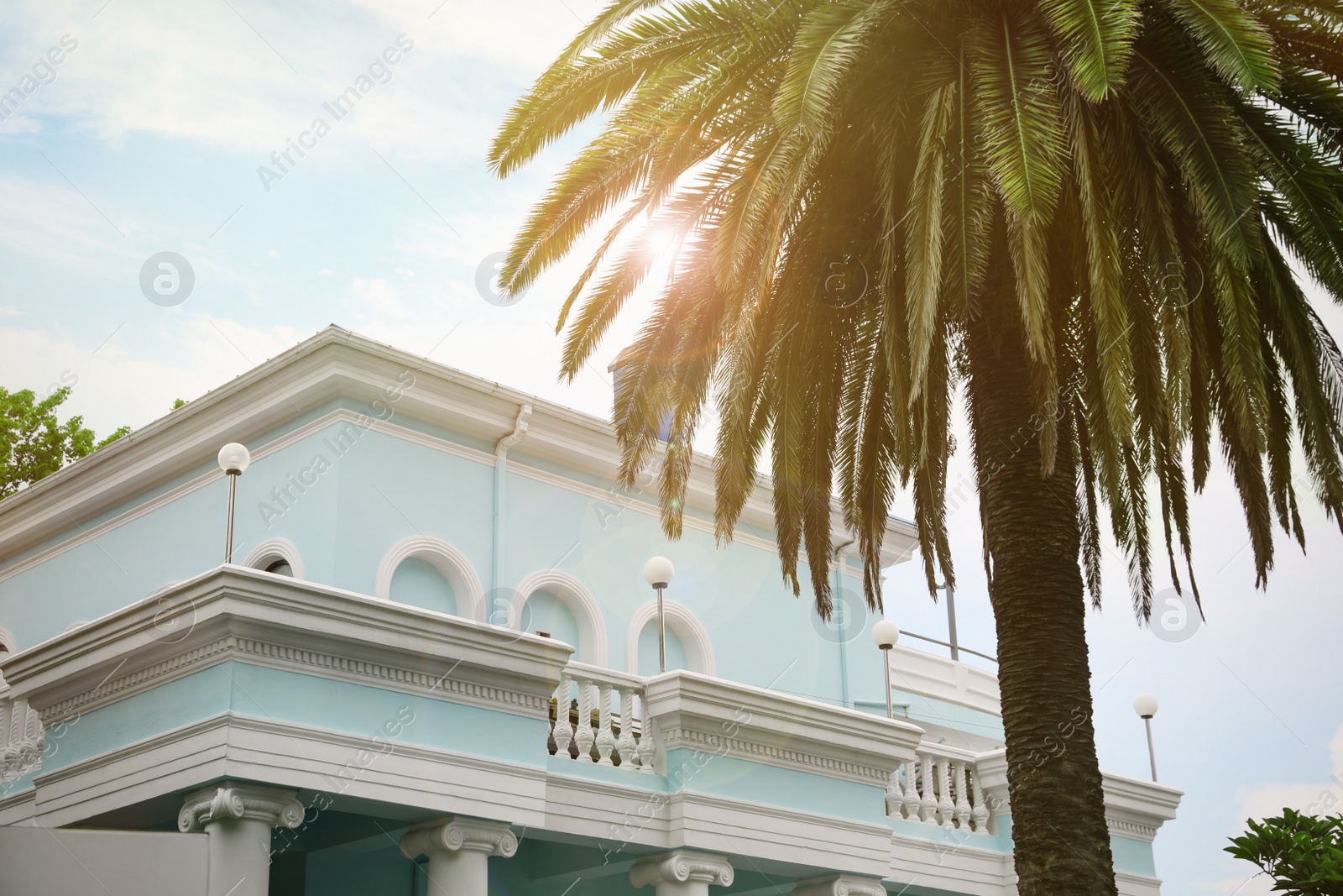 Photo of BATUMI, GEORGIA - MAY 31, 2022: Beautiful palm near Sanapiro restaurant