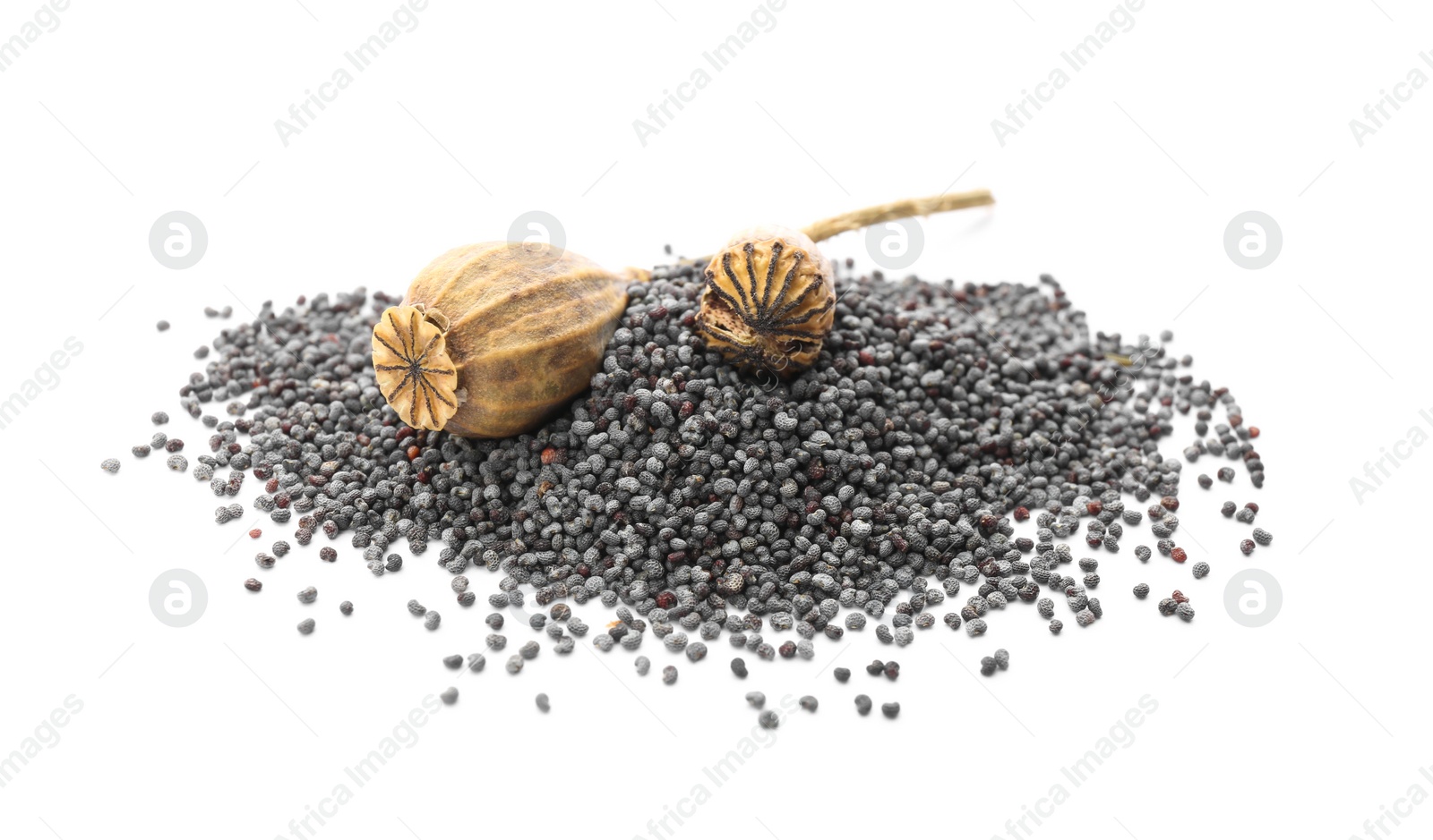 Photo of Dried poppyheads and seeds on white background