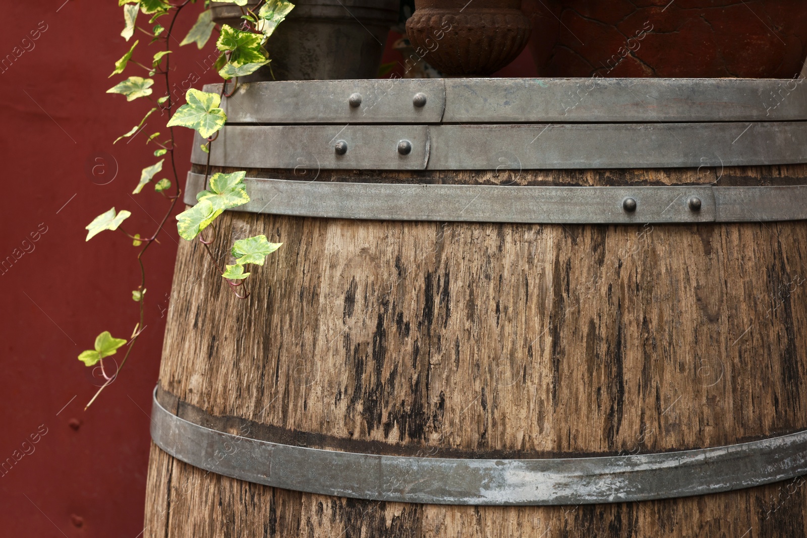 Photo of Traditional wooden barrel and ivy outdoors, closeup. Wine making