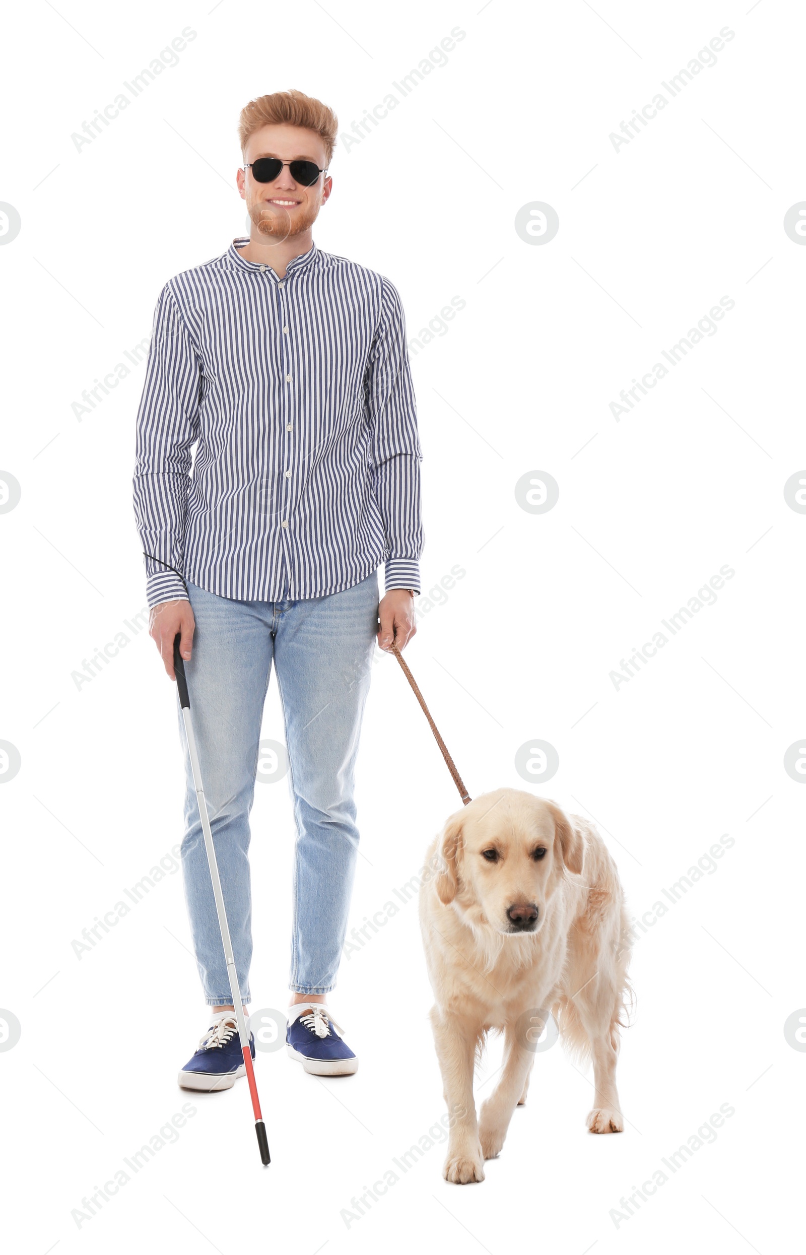 Photo of Blind person with long cane and guide dog on white background