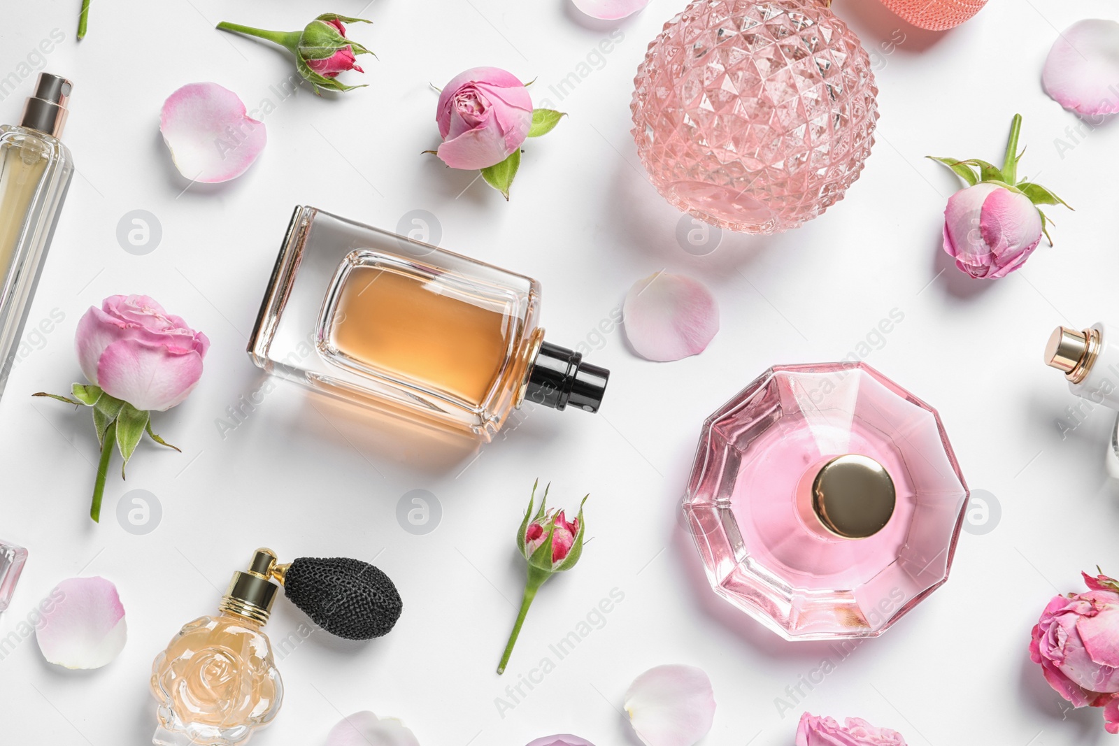 Photo of Different perfume bottles and flowers on white background, top view