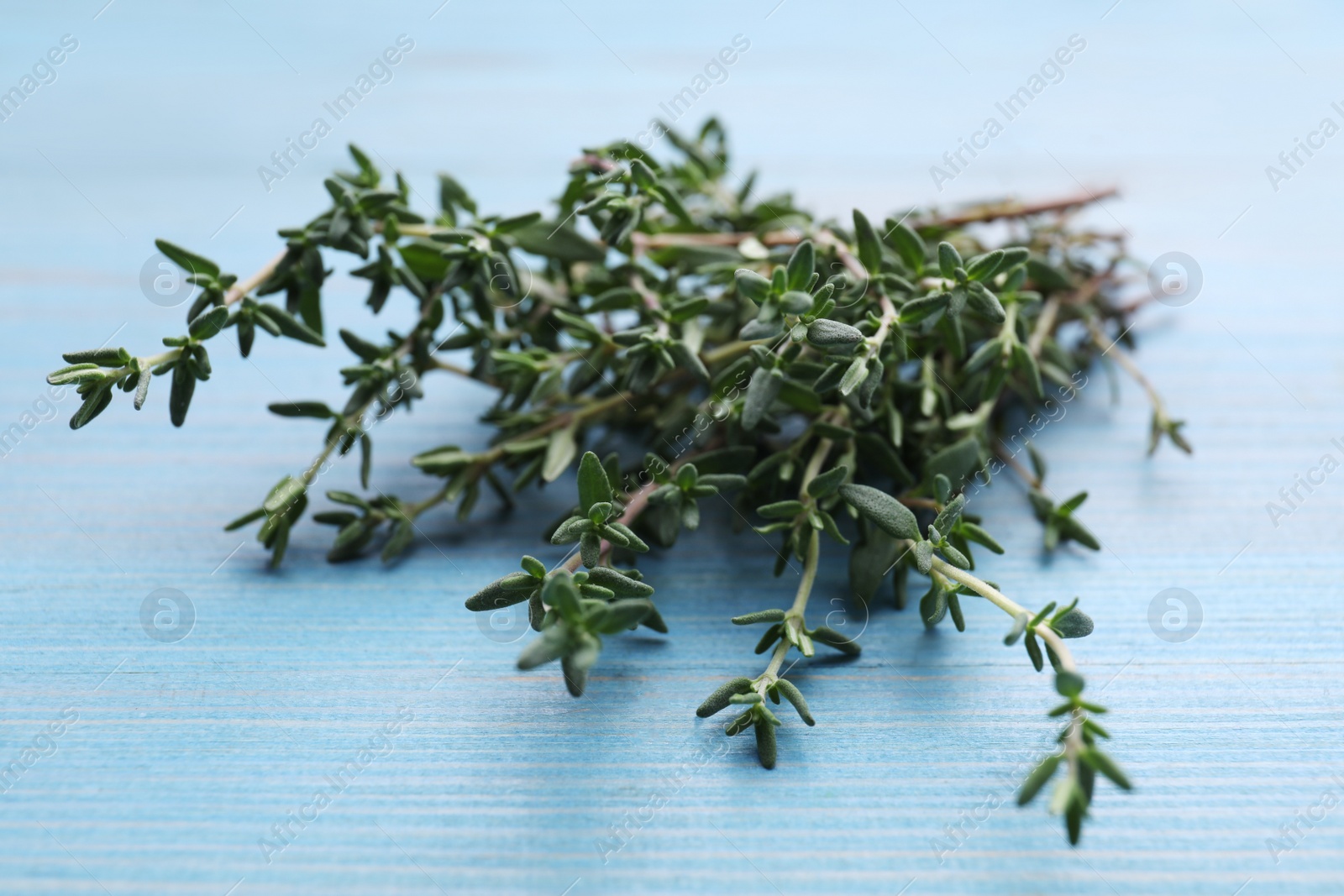 Photo of Bunch of fresh thyme on light blue wooden table, closeup