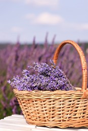 Photo of Wicker basket with aromatic lavender on white wooden bench outdoors. Space for text