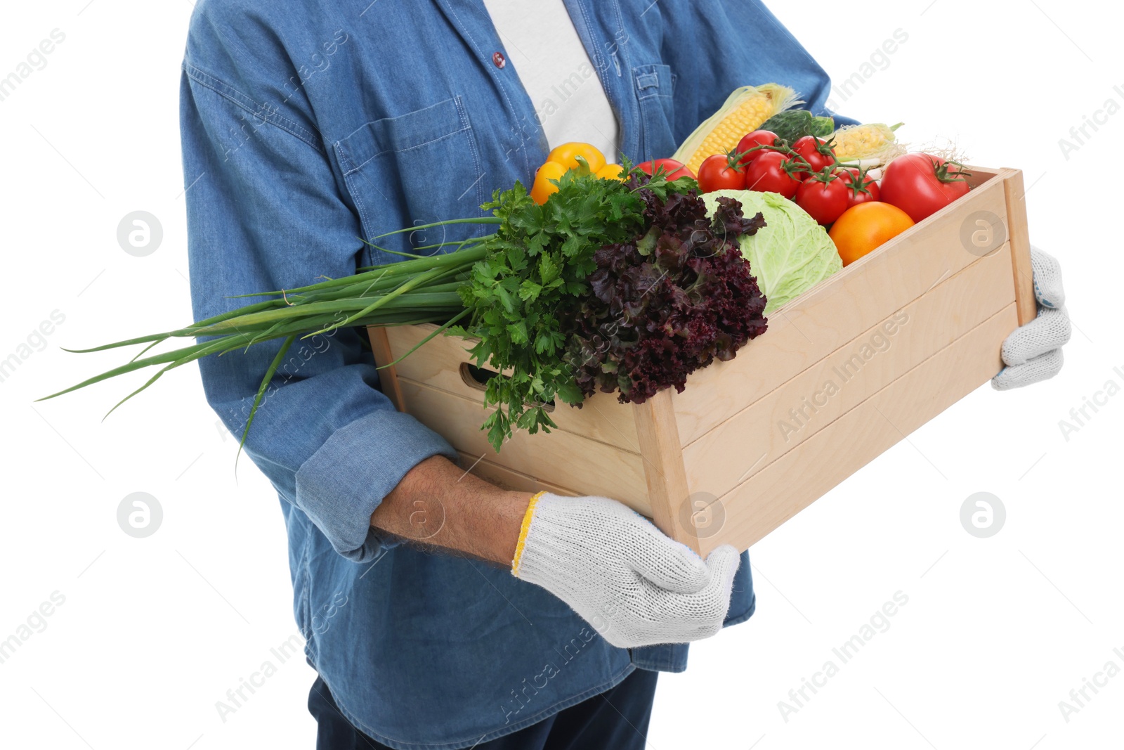 Photo of Harvesting season. Farmer holding wooden crate with vegetables on white background, closeup