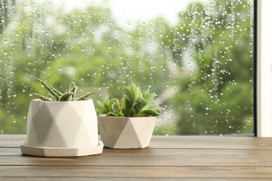 Photo of Potted succulents near window on rainy day. Space for text