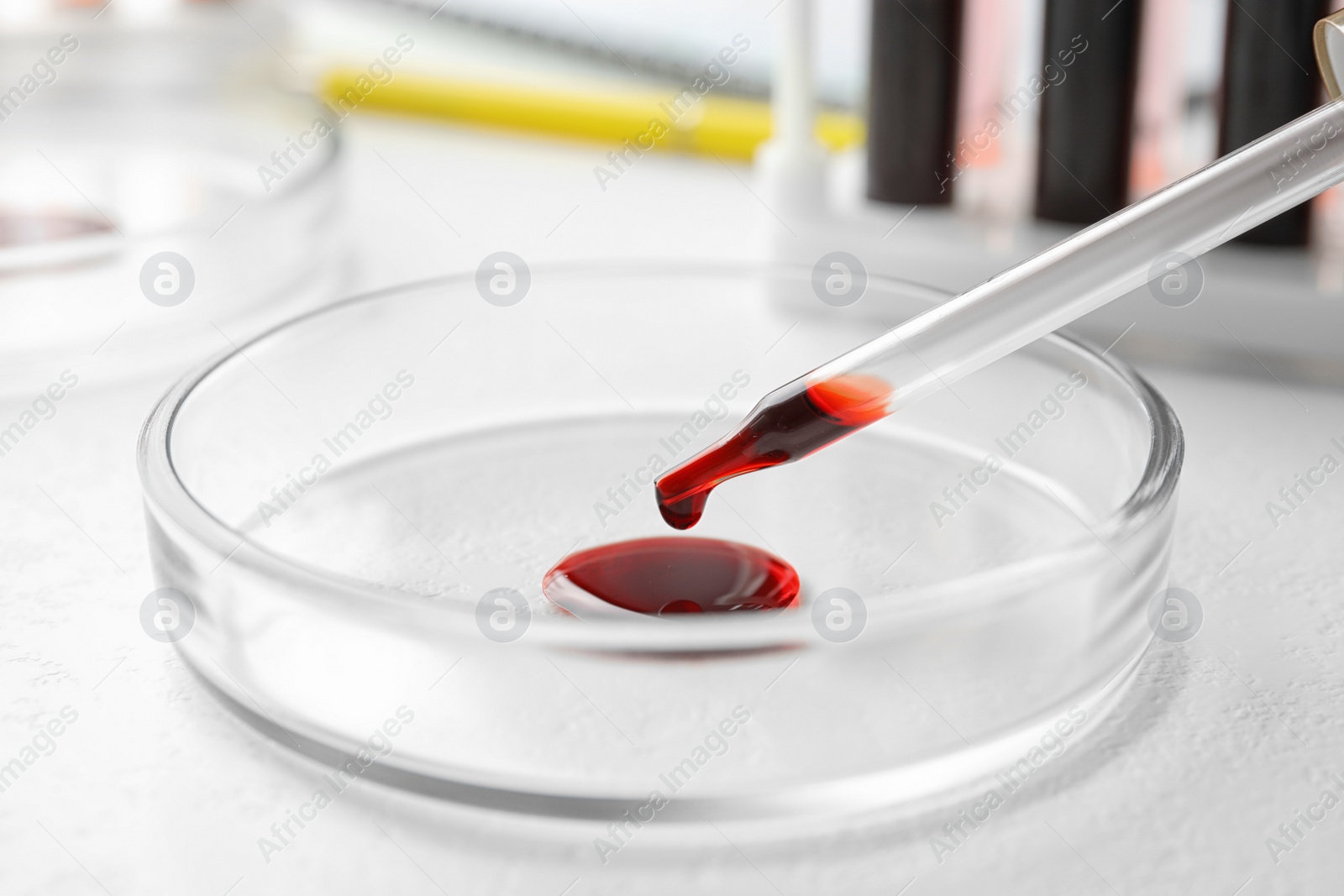 Image of Dripping blood from pipette into Petri dish on table, closeup. Laboratory analysis