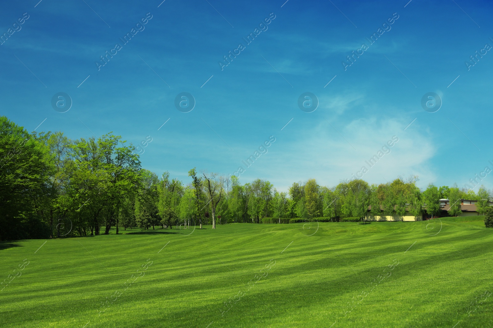 Photo of Picturesque view of golf course with fresh green grass and trees