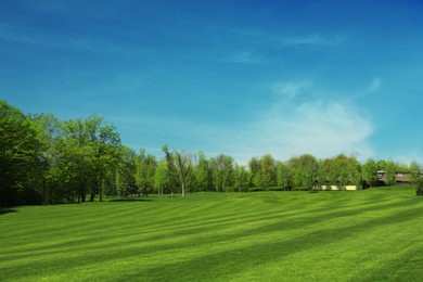 Picturesque view of golf course with fresh green grass and trees