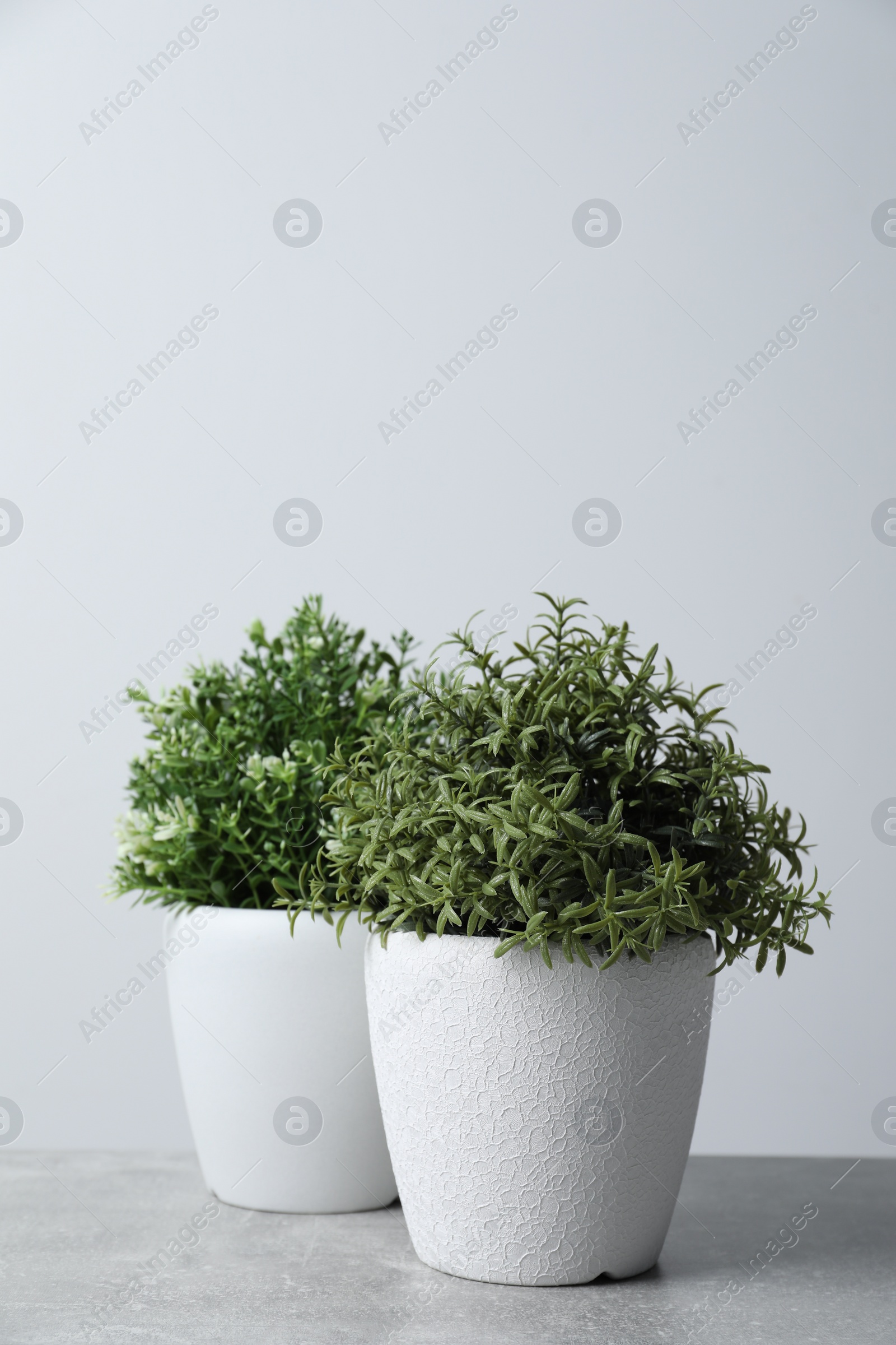 Photo of Aromatic potted herbs on light grey table
