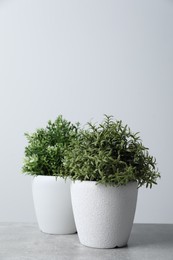Photo of Aromatic potted herbs on light grey table