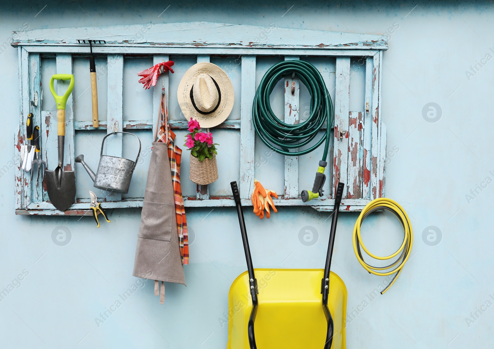 Photo of Beautiful plant, gardening tools and accessories on shed wall