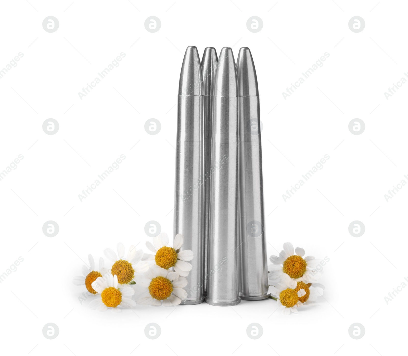 Photo of Metal bullets and beautiful flowers isolated on white